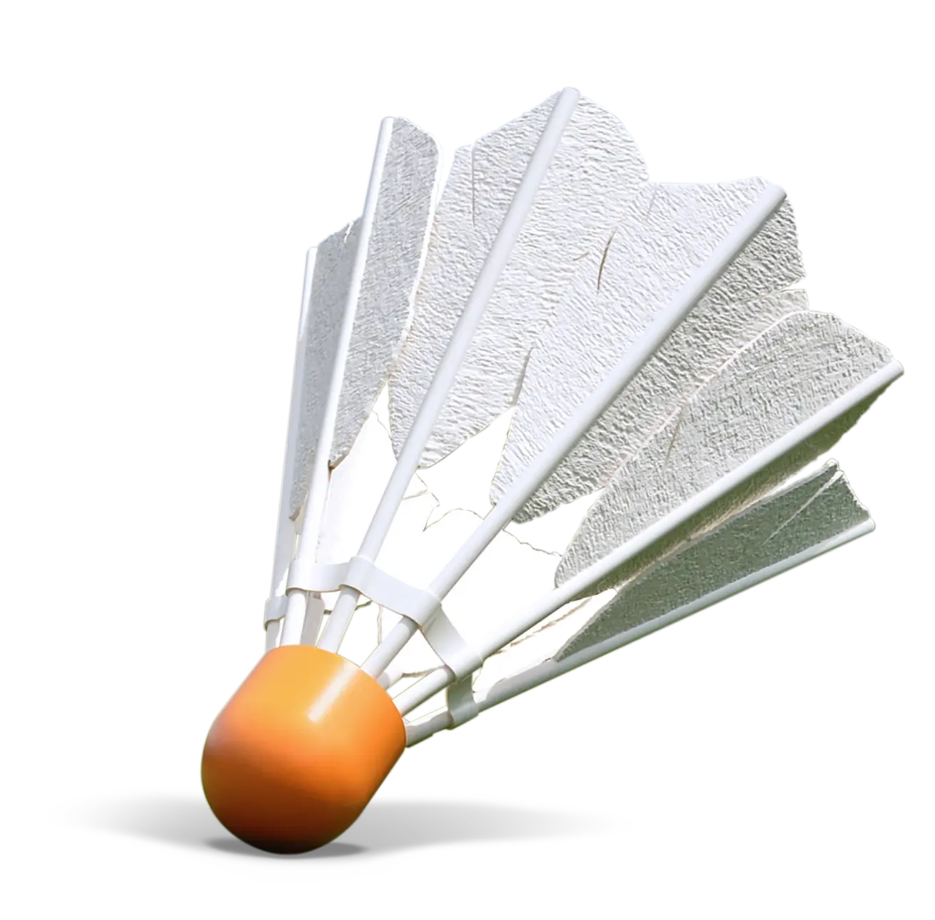 Shuttlecock